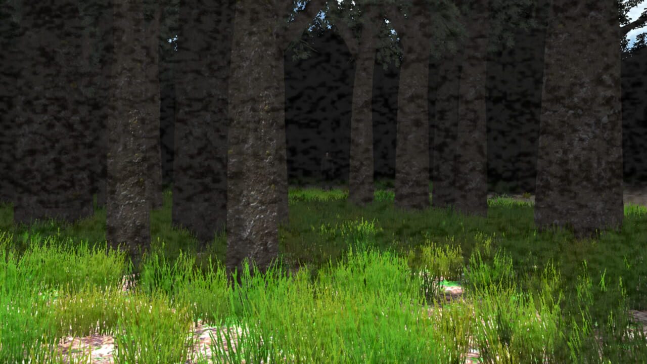 Slender: The Eight Pages miniatura 12