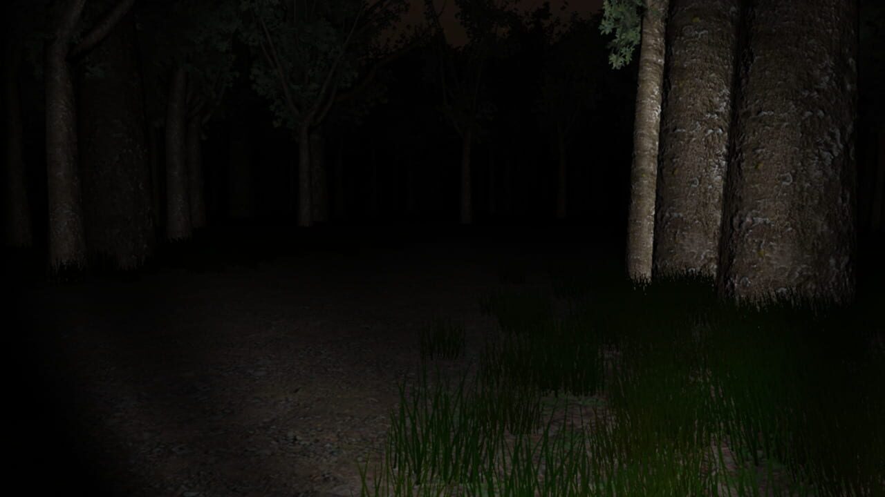 Slender: The Eight Pages miniatura 13