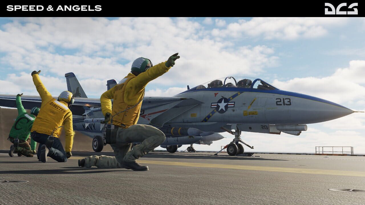 DCS World: F-14 Speed & Angels Campaign by Reflected Simulations Image