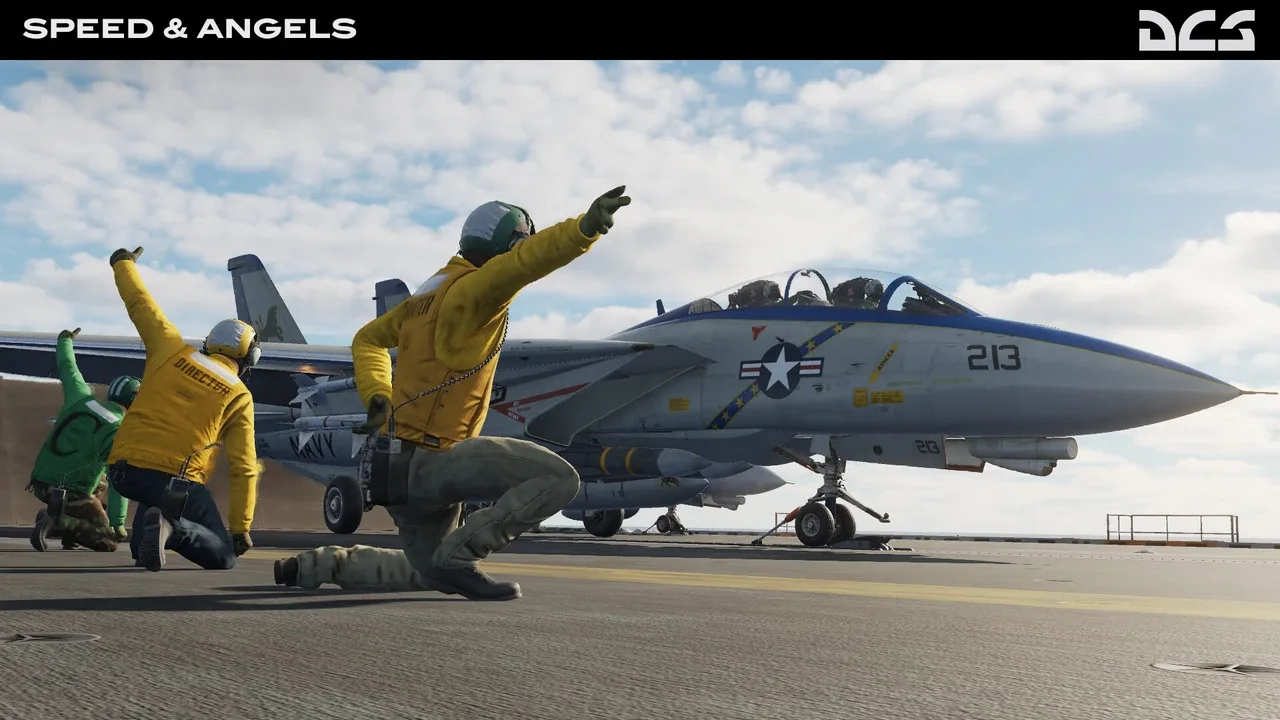 DCS World: F-14 Speed & Angels Campaign by Reflected Simulations banner