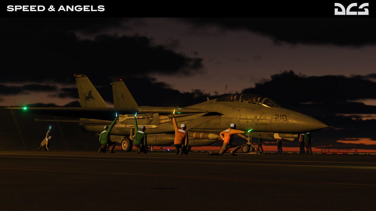 DCS World: F-14 Speed & Angels Campaign by Reflected Simulations Image