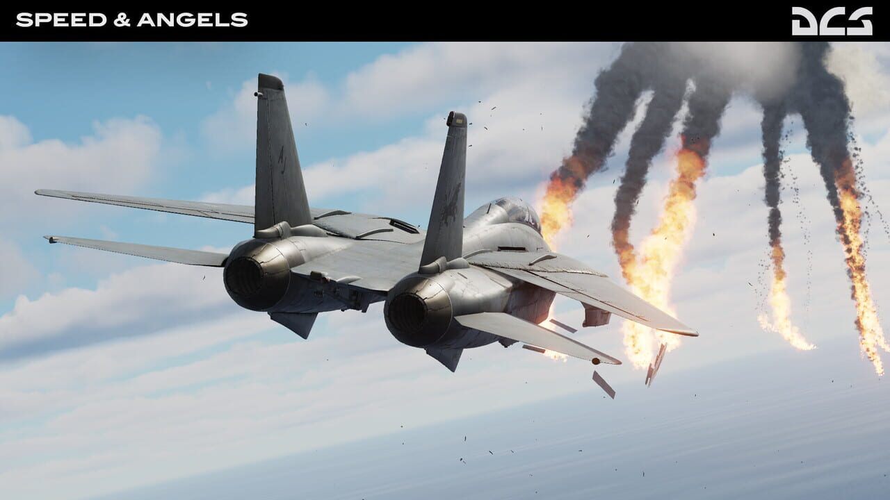 DCS World: F-14 Speed & Angels Campaign by Reflected Simulations Image