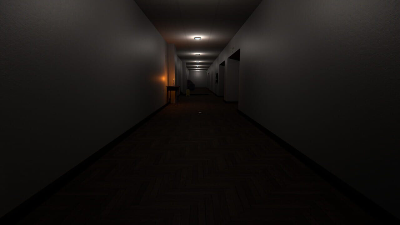 Lost in Anomaly Image