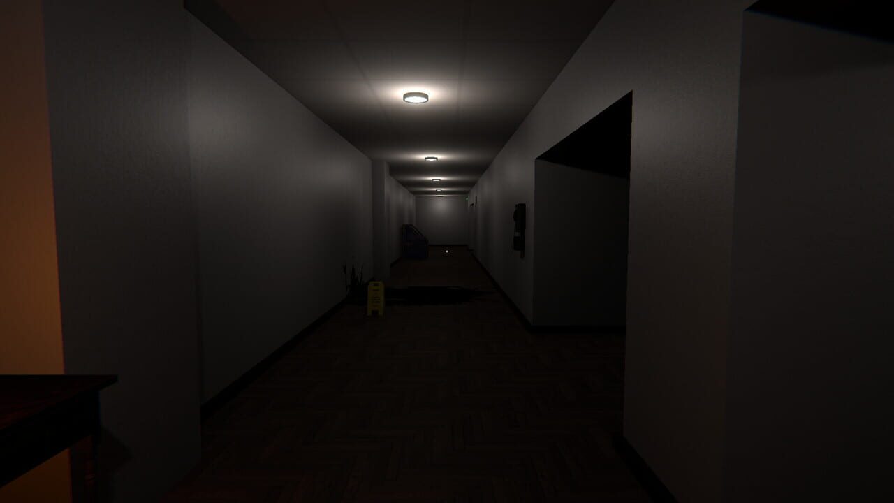 Lost in Anomaly Image