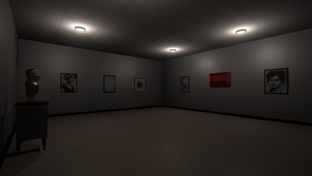 Lost in Anomaly Image