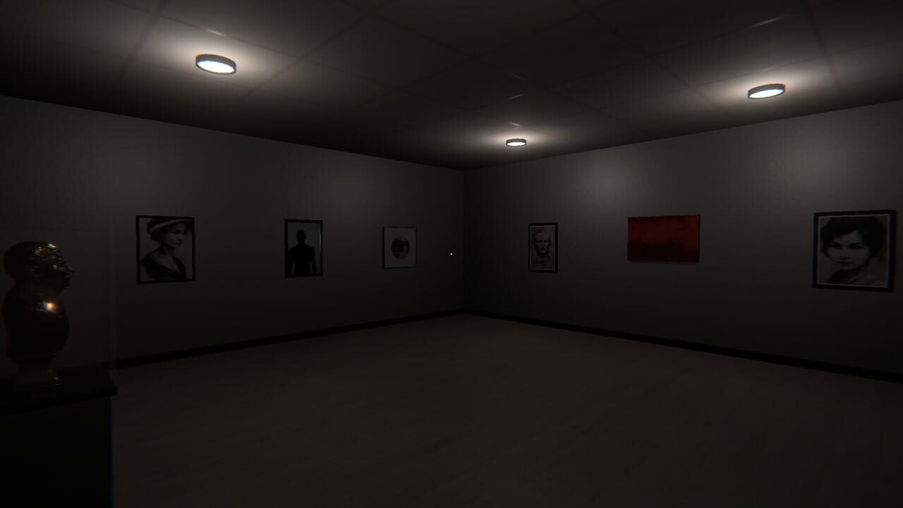 Lost in Anomaly Image