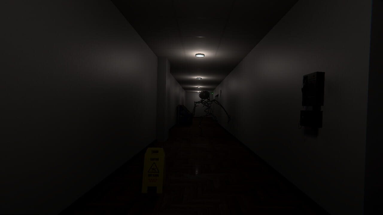 Lost in Anomaly Image
