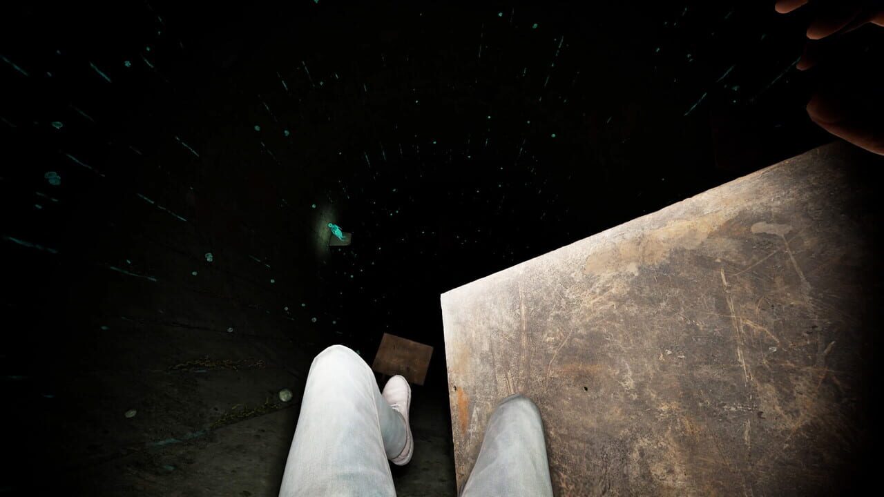 Capture 1 de Fallen: Into the Darkness