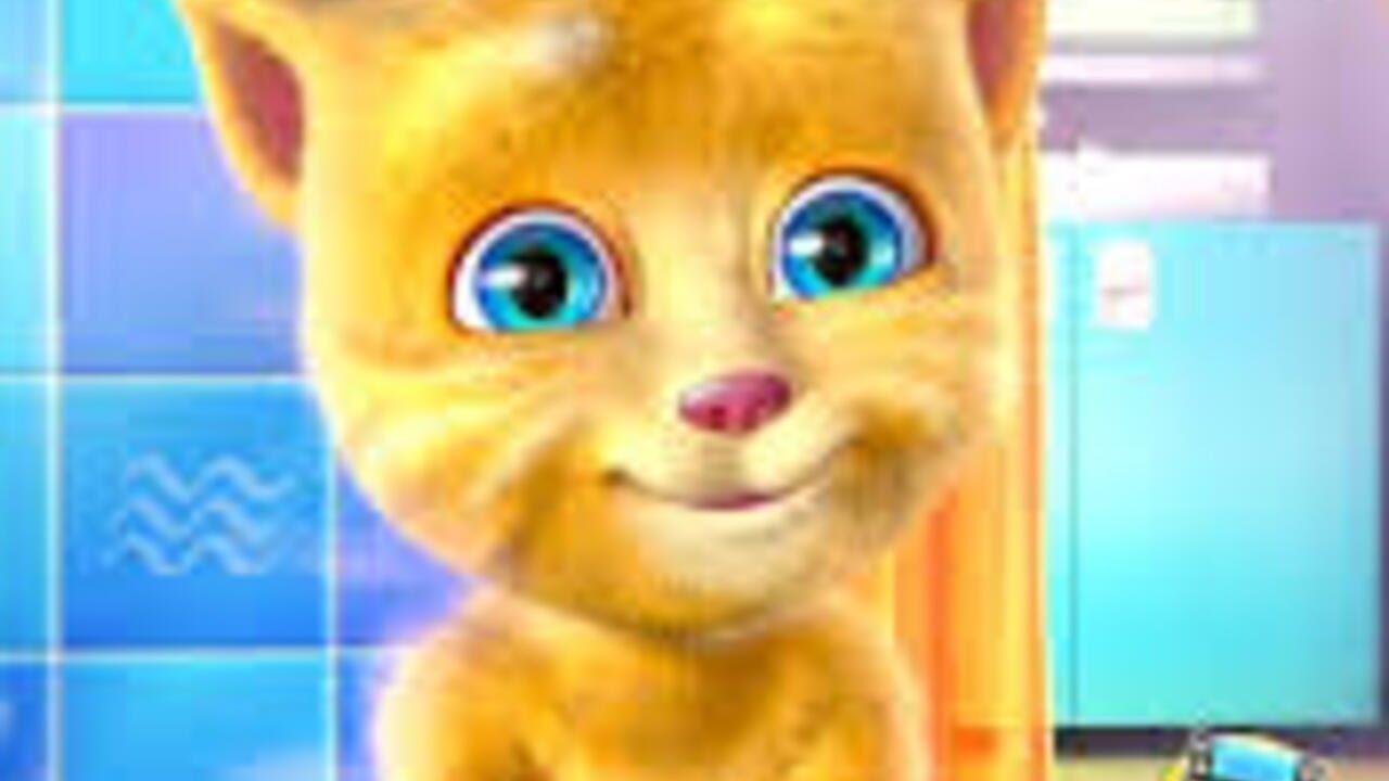Talking Ginger Screenshot 1