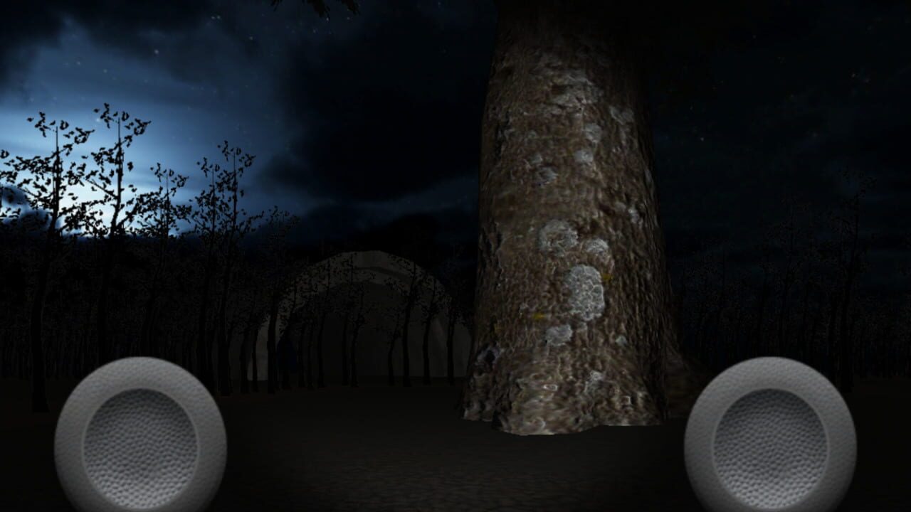 SlenderMan's Forest Image