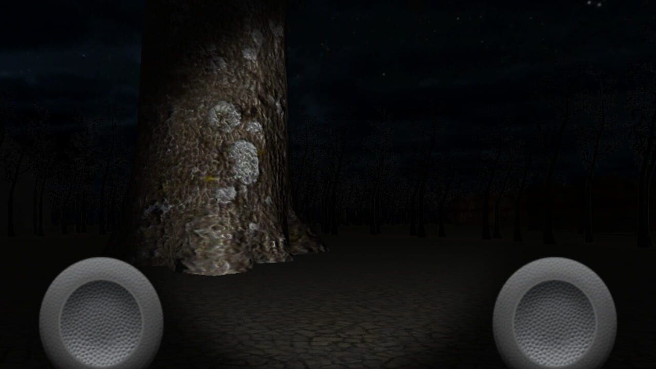 SlenderMan's Forest Image