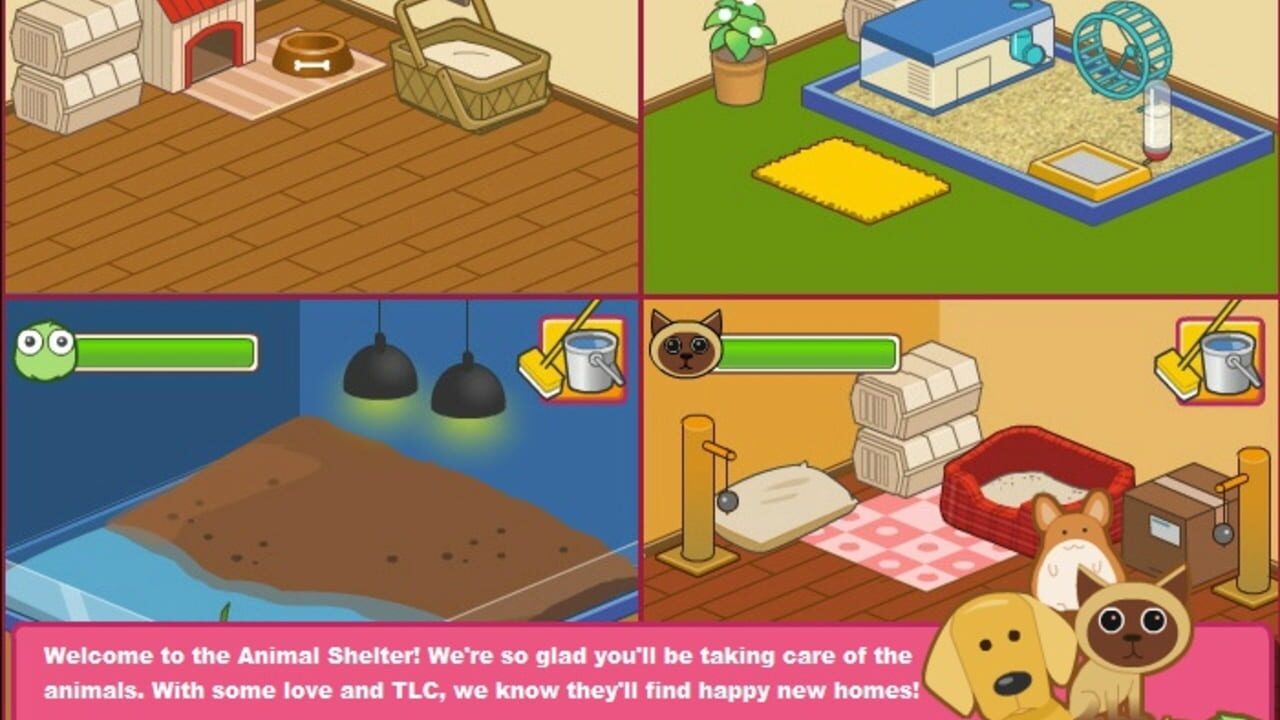 Animal Shelter — Screenshot 2