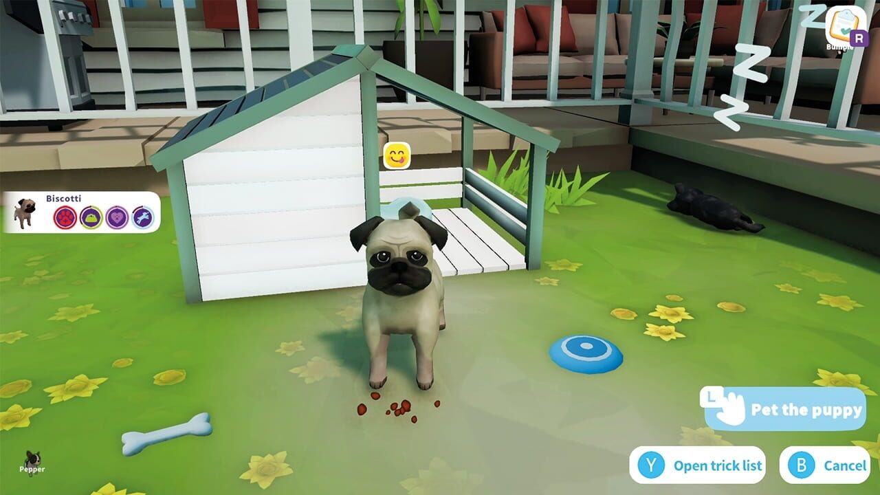 Cute Puppy Academy Image