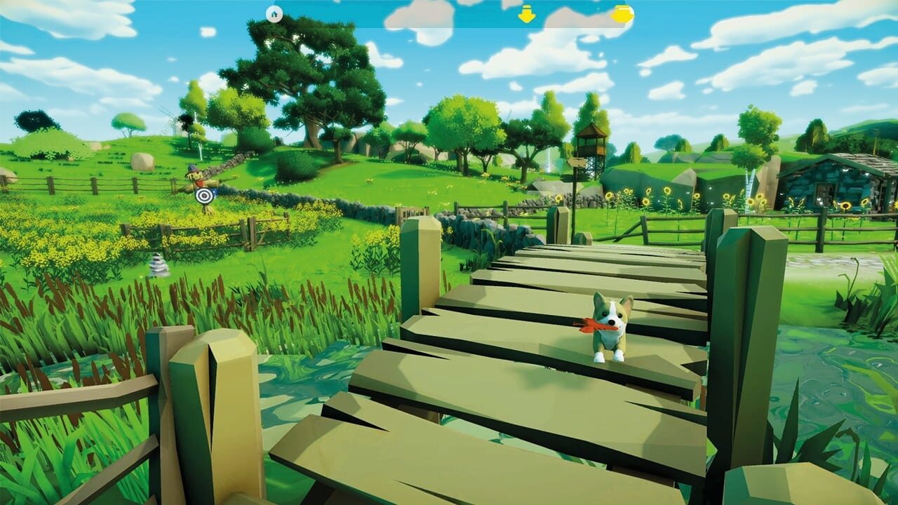 Cute Puppy Academy Image