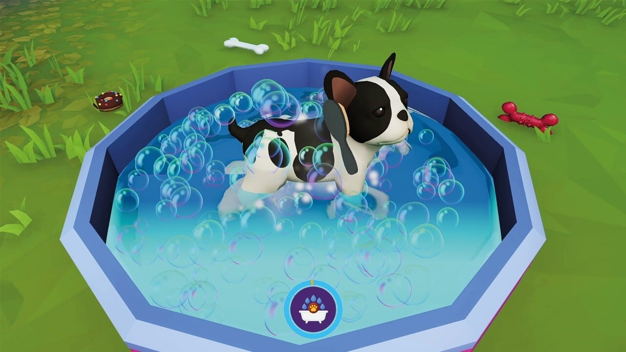 Cute Puppy Academy Image