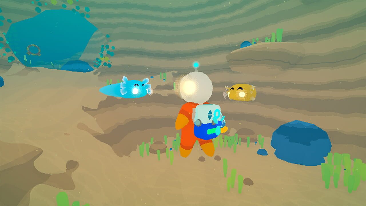 Caring Critter Bundle Image