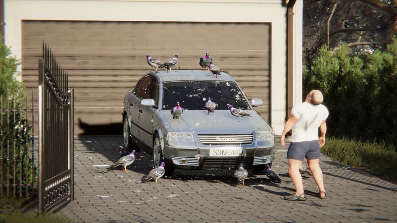 Polish Simulator Image