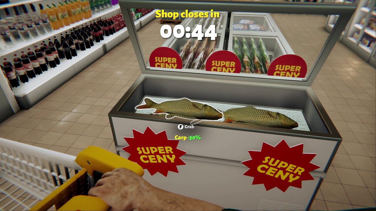 Polish Simulator Image