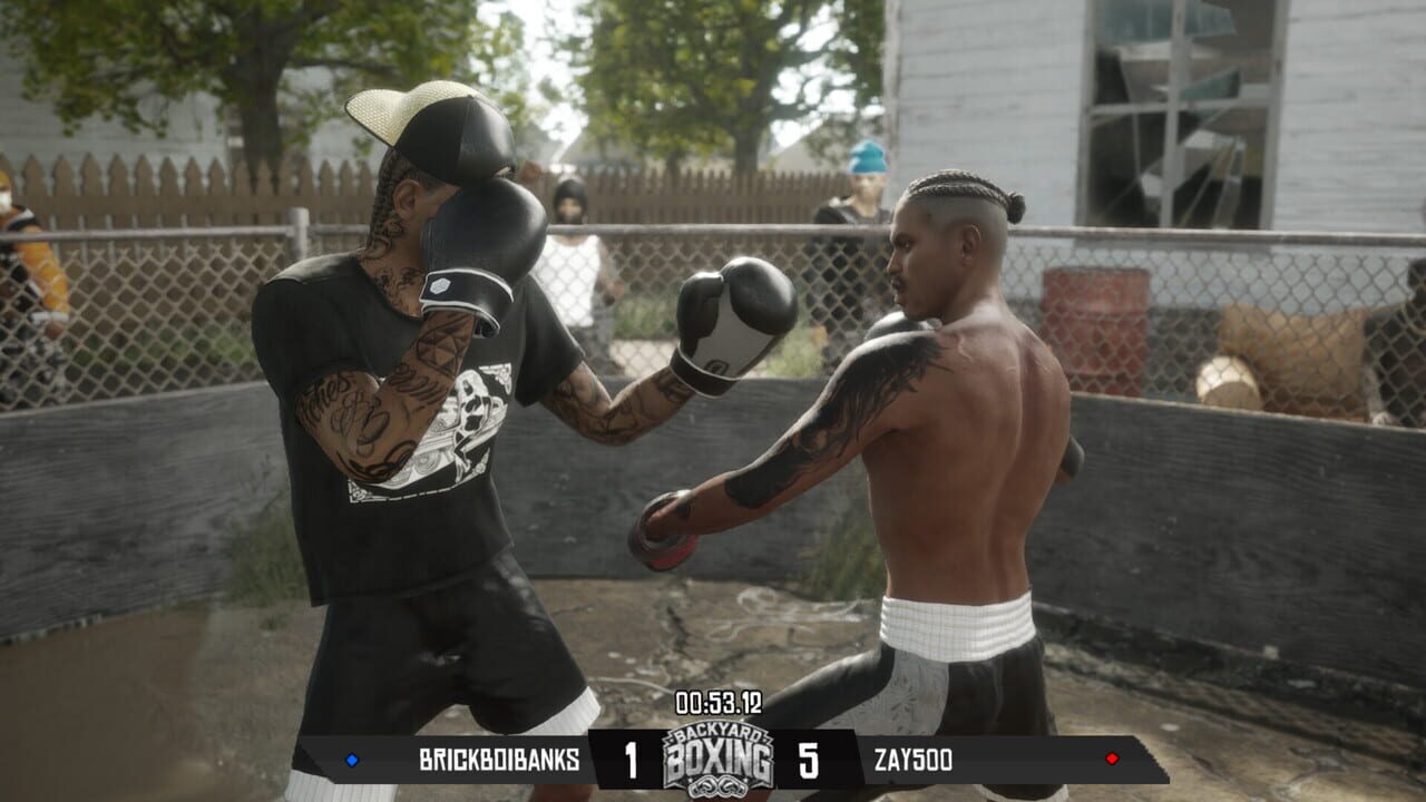 Backyard Boxing Image