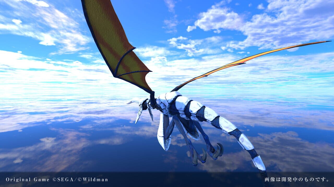 Panzer Dragoon Voyage Record Image