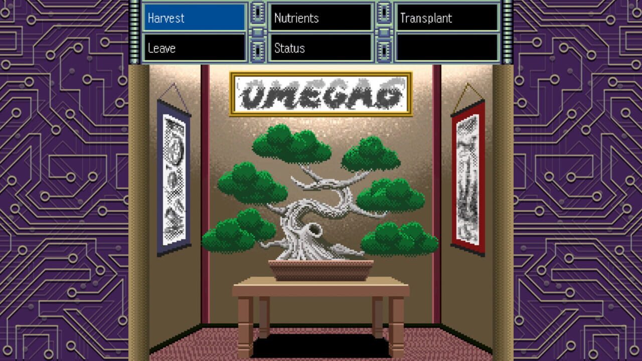 Omega 6 The Triangle Stars