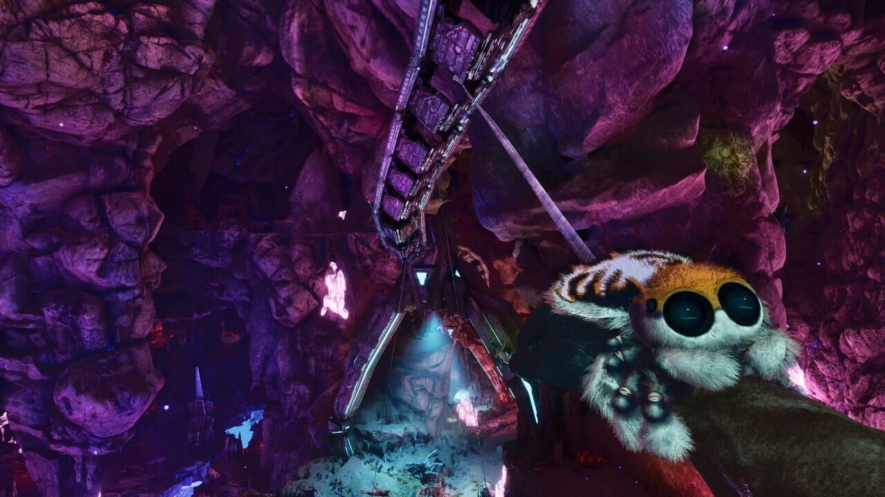 Ark: Bob's Bundle Image