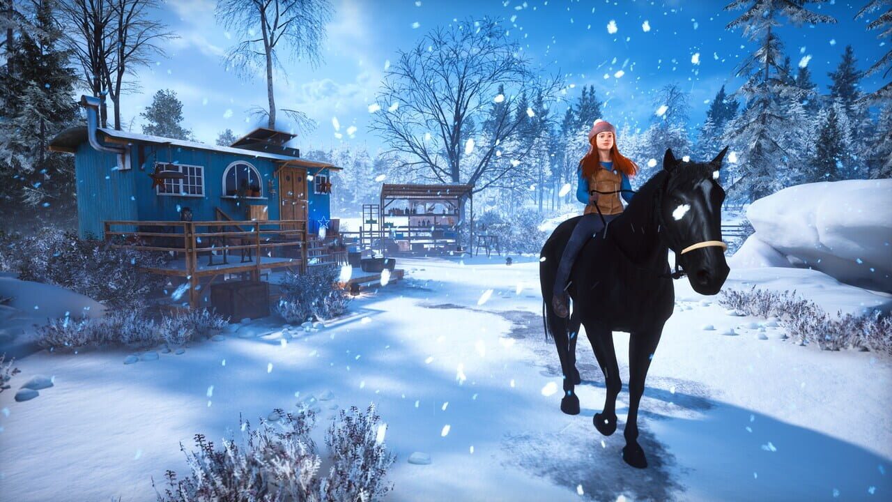 Windstorm: Start of a Great Friendship Remastered - Complete Edition Image