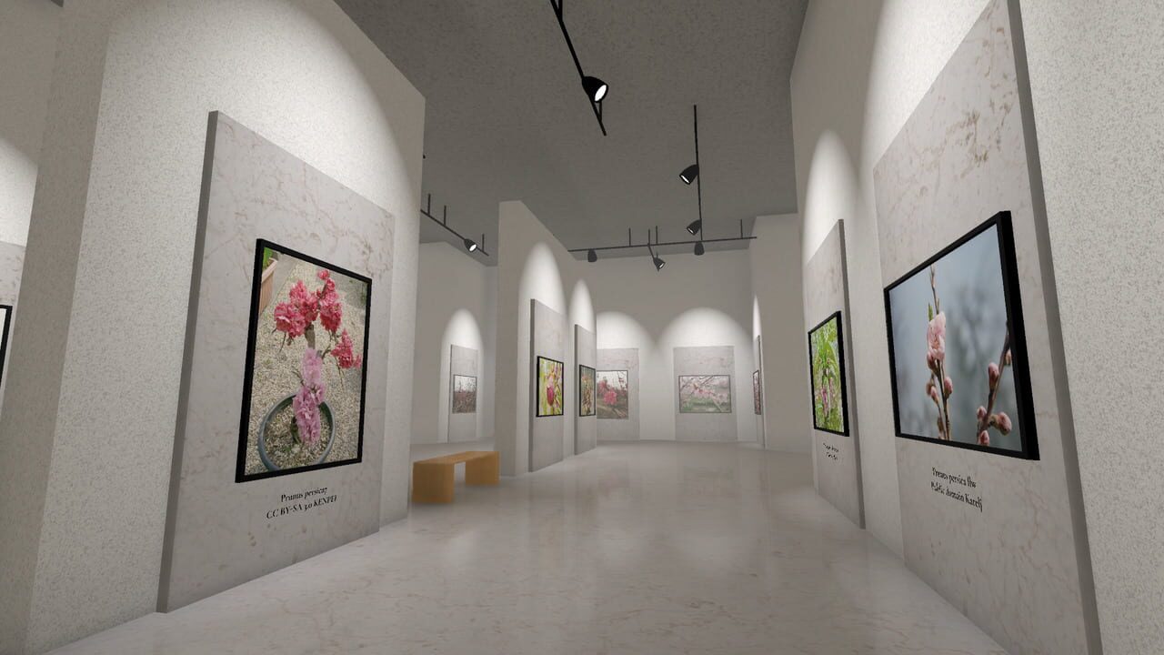 Museum of All Things Image