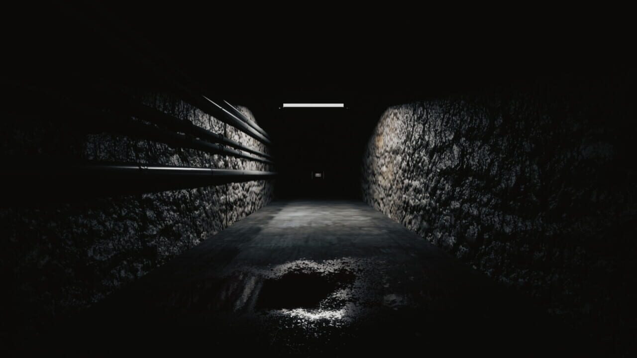 Shadow of Backrooms Image