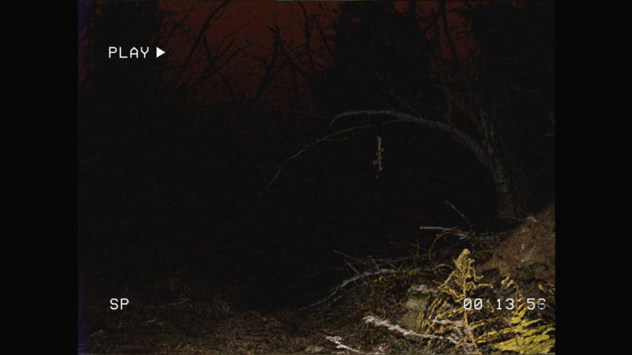 Deeply Dark: Found Footage — Screenshot 2
