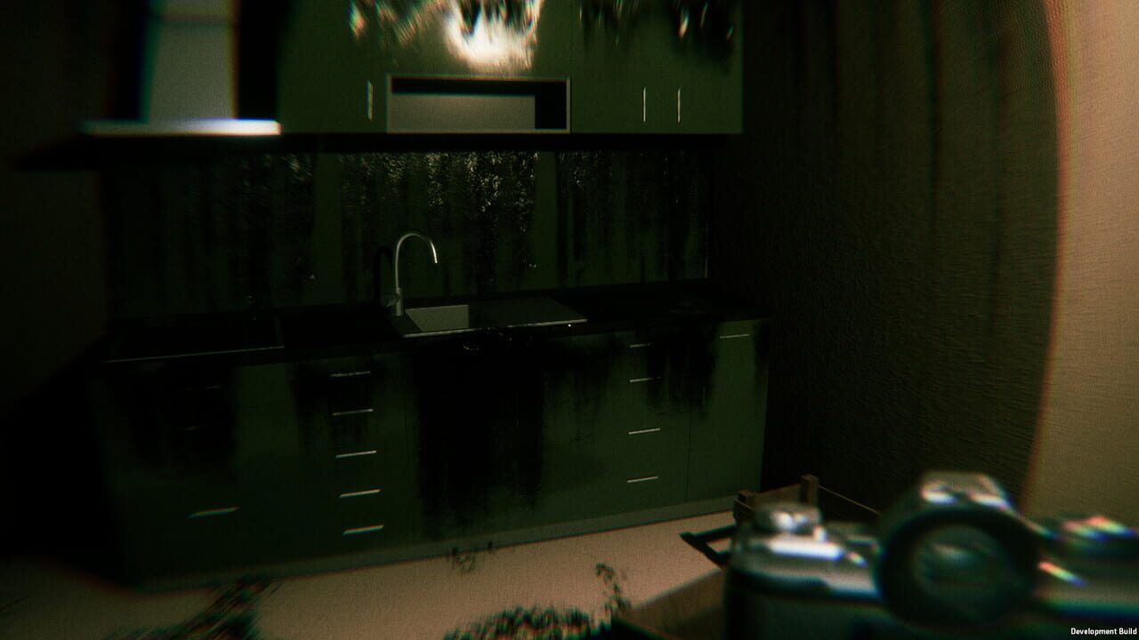 Fractured Perception Image