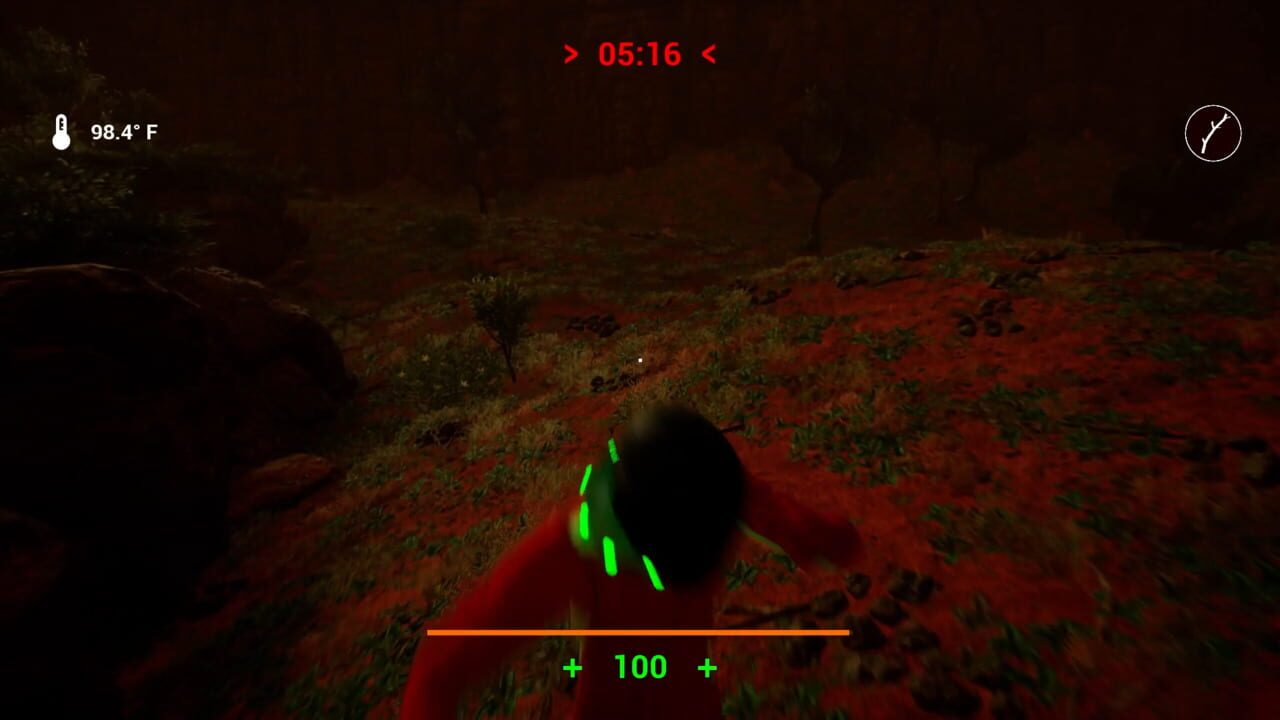Screenshot 21