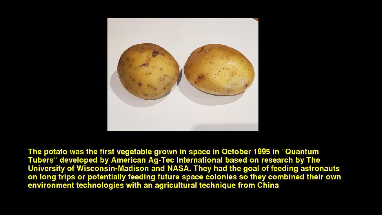 Quiz & Learn: Food & Drink Image