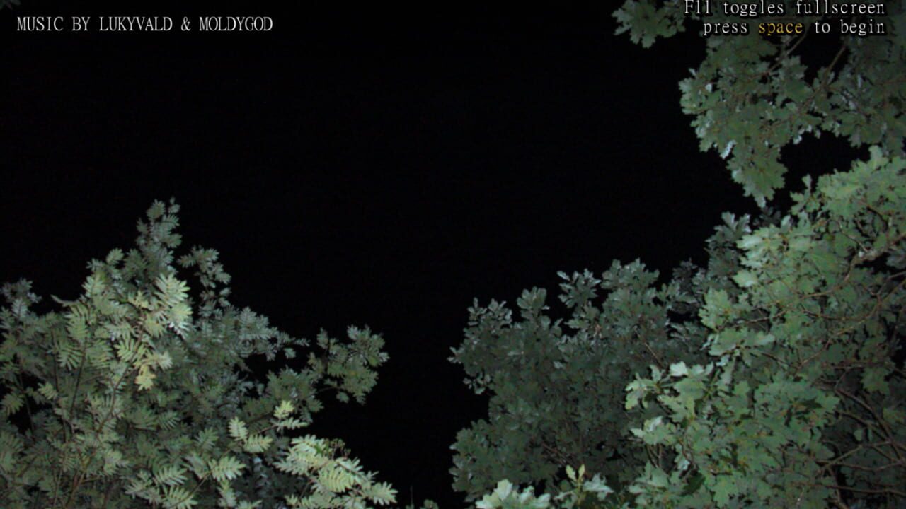 Shoot Yourself With a Rifle — Screenshot 1