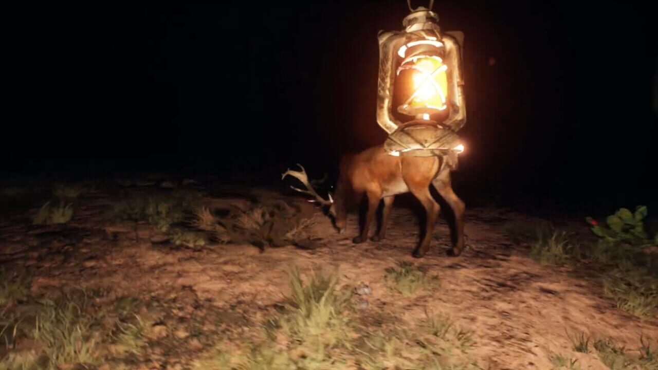 Screenshot 13