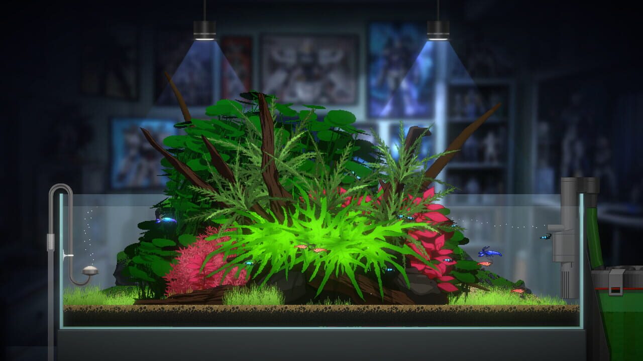 Joyquarium Image
