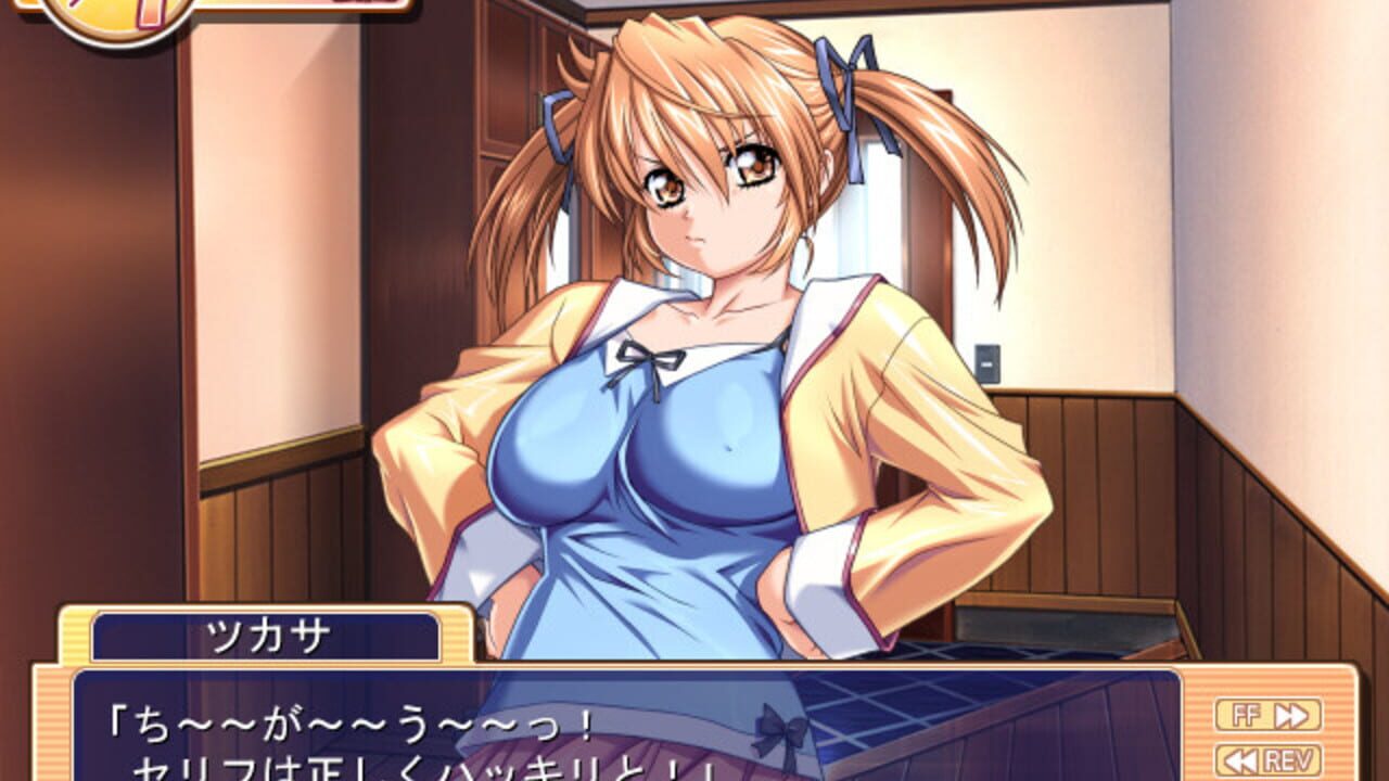 Tsukasa no Satisfaction — Screenshot 2