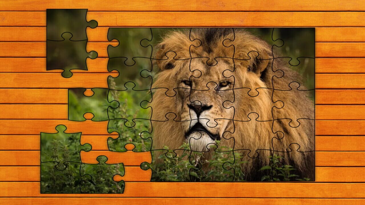 Big Cat Jigsaw Quest: Expansion Pack 1 — Screenshot 1