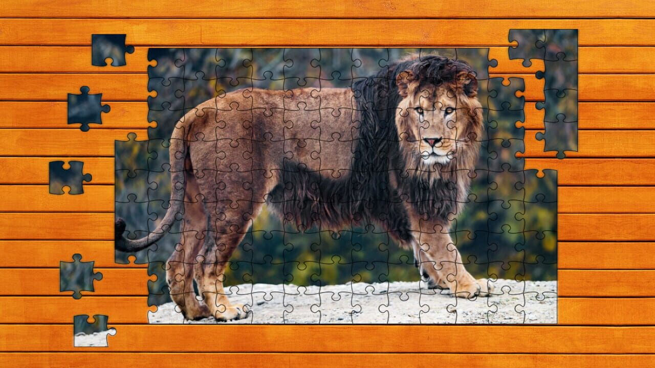 Big Cat Jigsaw Quest: Expansion Pack 1 — Screenshot 2