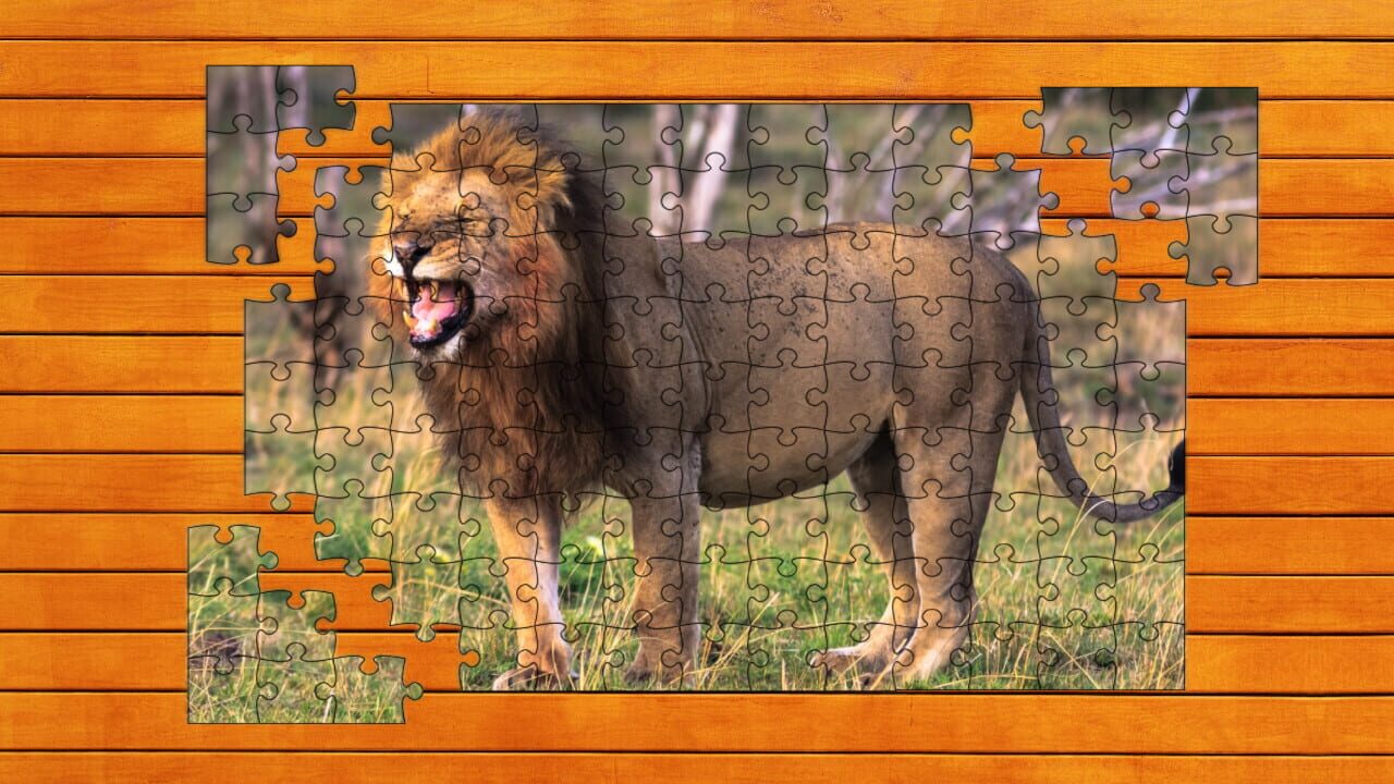 Big Cat Jigsaw Quest: Expansion Pack 2 — Screenshot 2