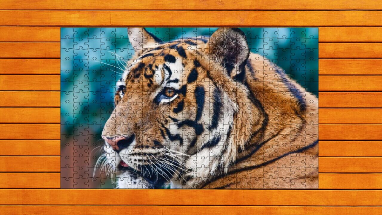 Big Cat Jigsaw Quest: Expansion Pack 1 — Screenshot 3