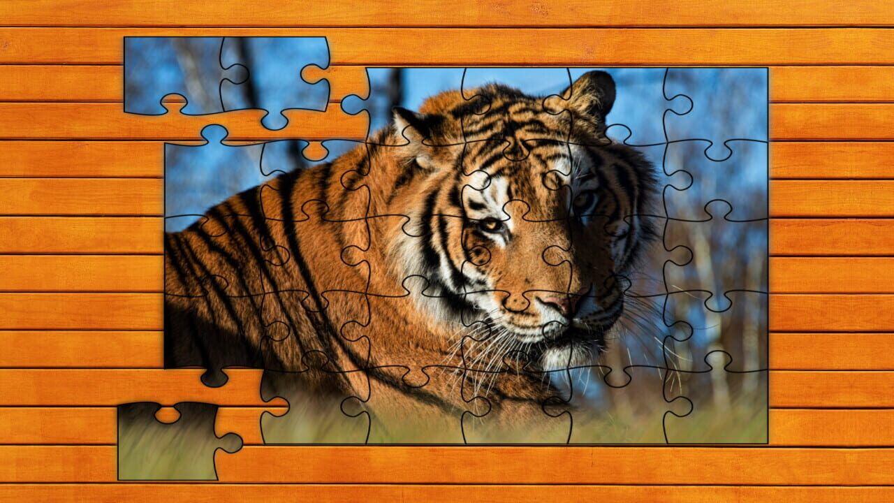 Big Cat Jigsaw Quest: Expansion Pack 2 — Screenshot 3