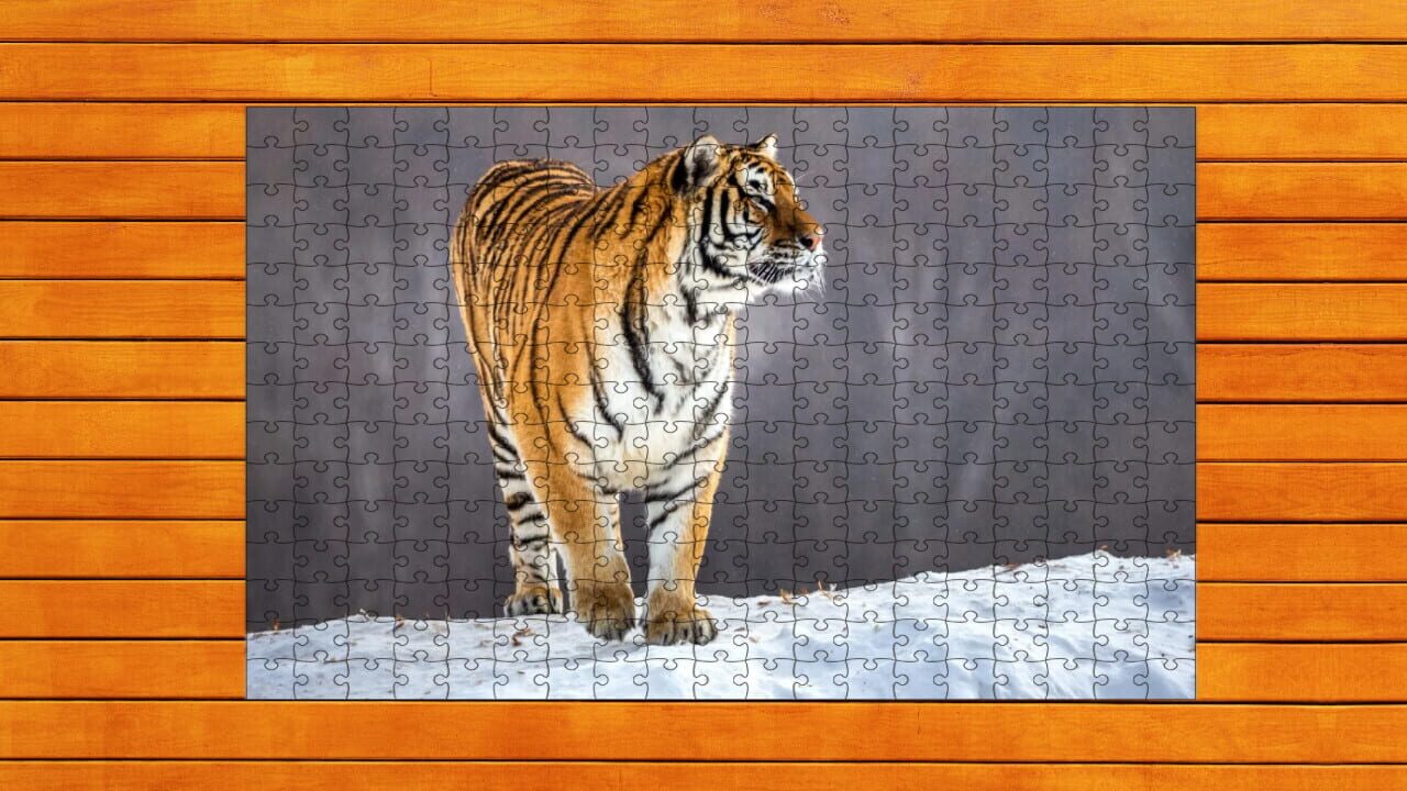 Big Cat Jigsaw Quest: Expansion Pack 2 — Screenshot 4