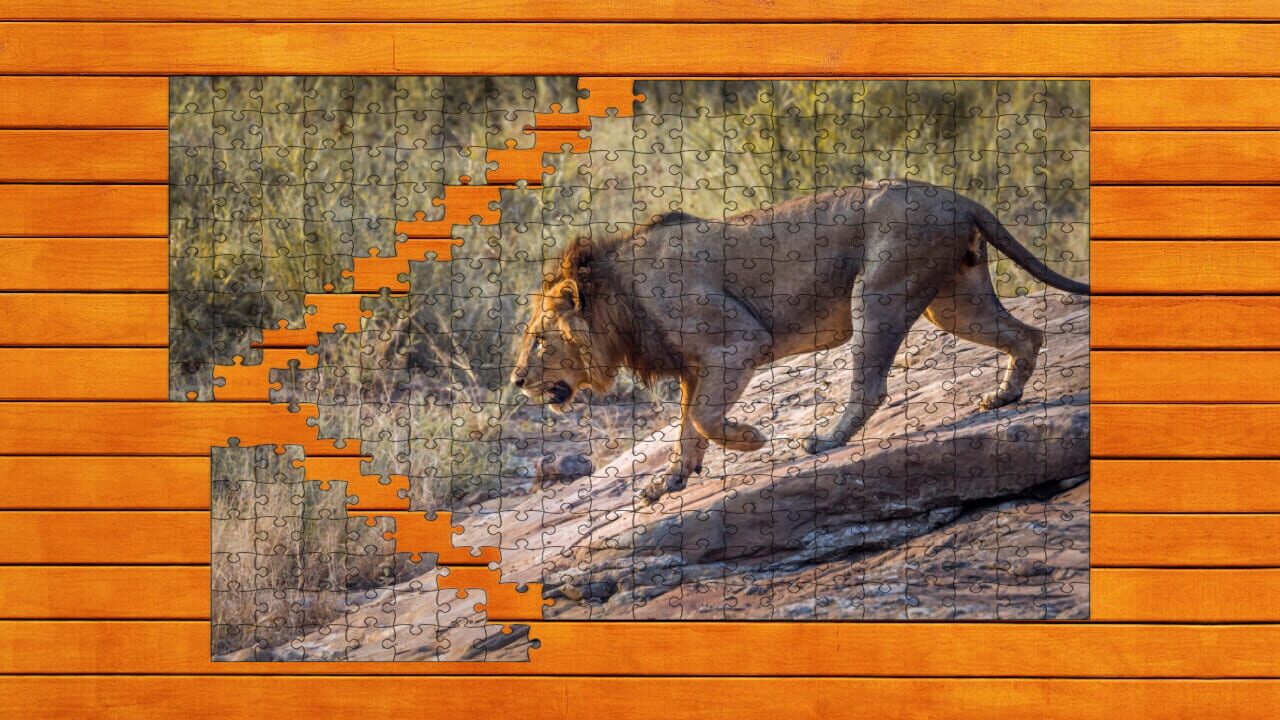 Big Cat Jigsaw Quest: Expansion Pack 1 — Screenshot 5