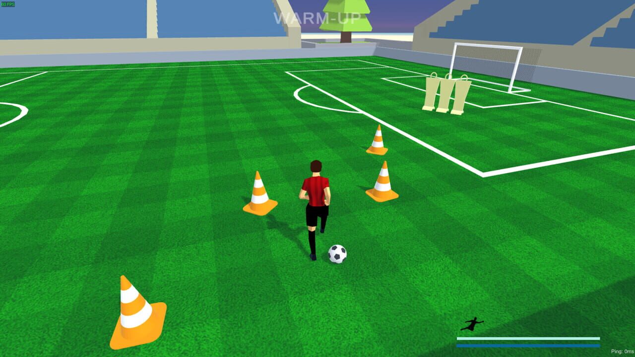 Soccer Field Pro 3D Image