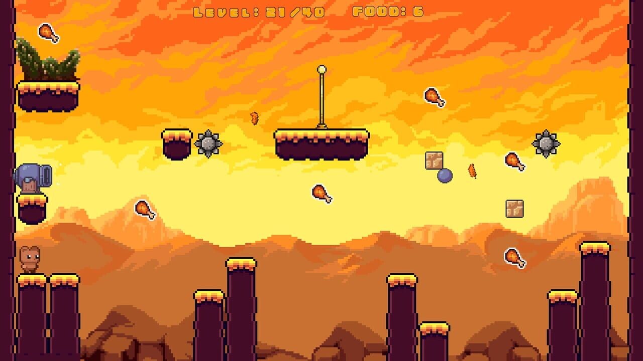 Bear Escape Mission Image