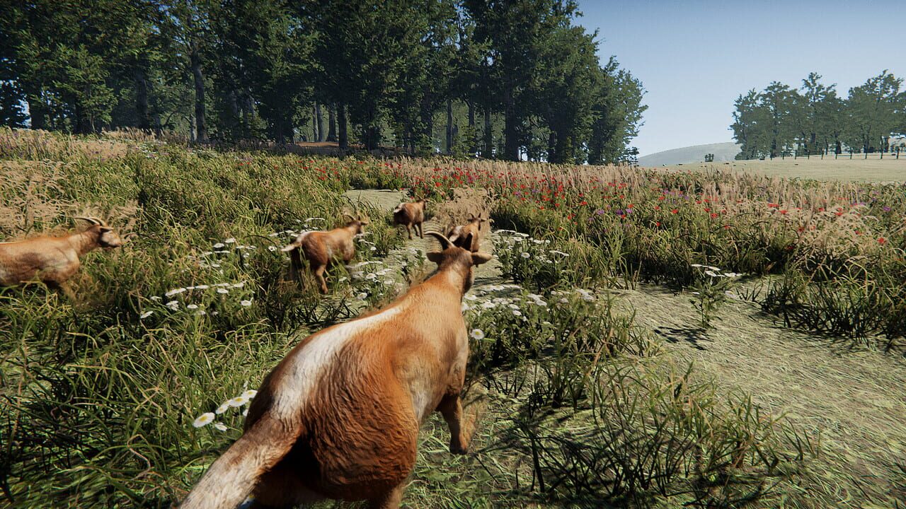 Goat Massacre — Screenshot 3