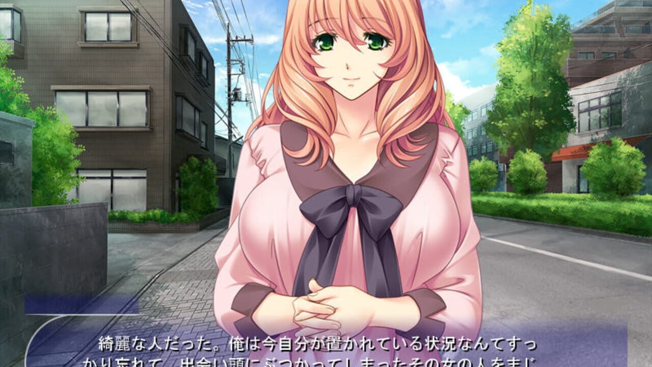 Hentai Homewrecker — Screenshot 1