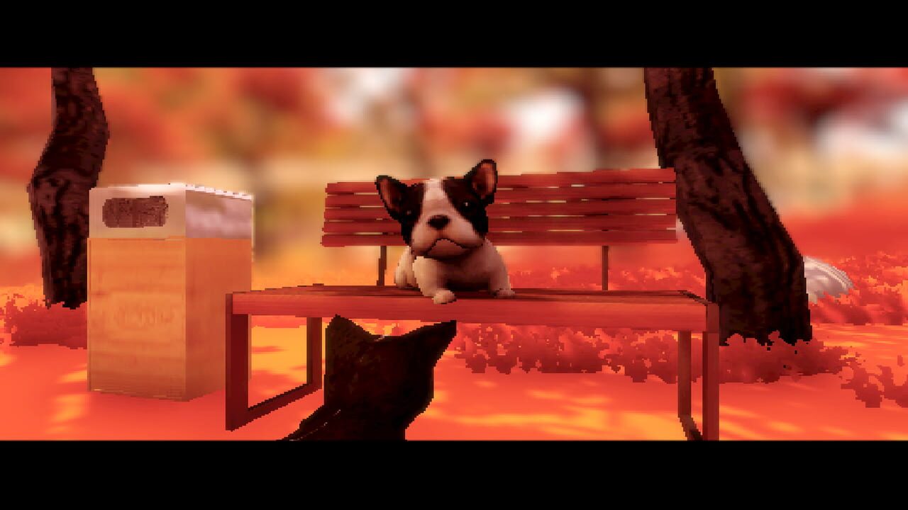 Fluffy Autumn Image