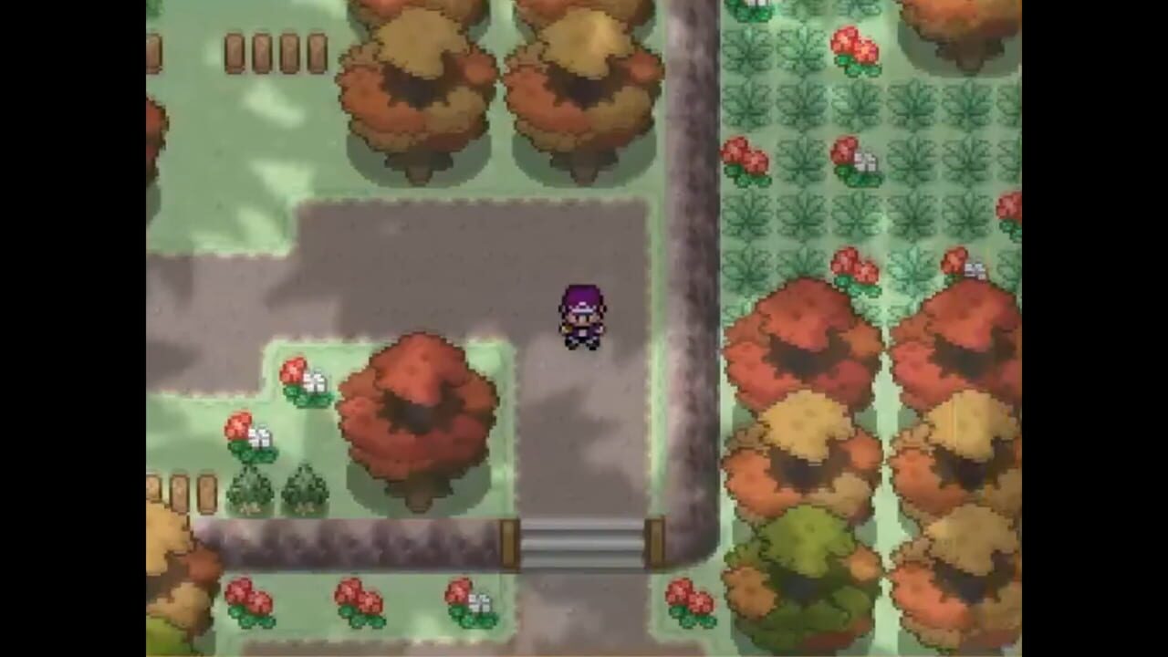 Pokemon Alchemist Screenshot 1